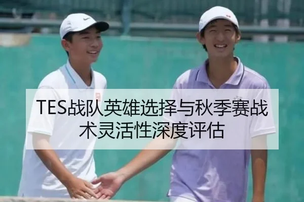 TES战队英雄选择与秋季赛战术灵活性深度评估